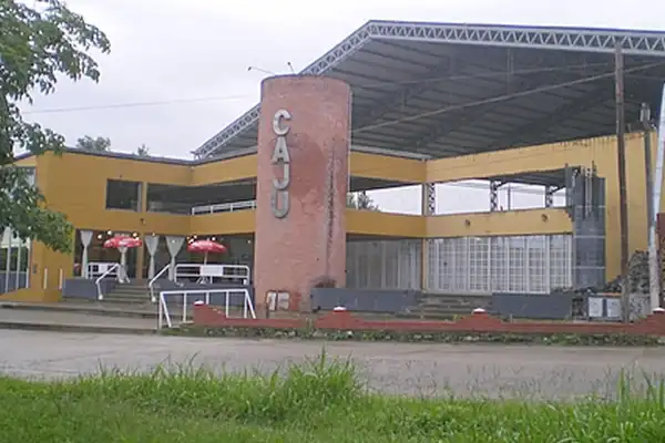 Denuncian que un simpatizante exhibió un arma de fuego durante un partido de básquet en Tucumán