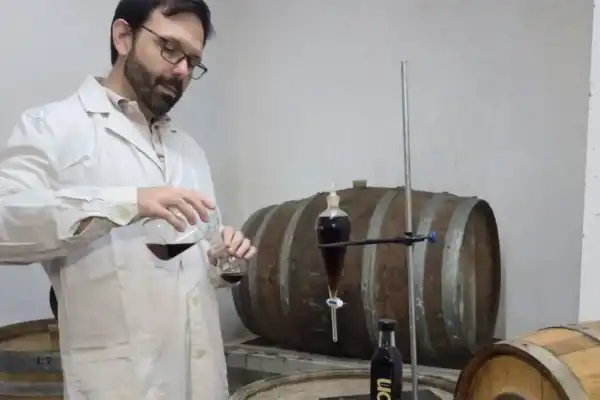 La Estación Experimental propone elaborar un ron de alta calidad en Tucumán