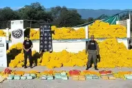 Imputan a una banda por traficar droga en camiones con limones