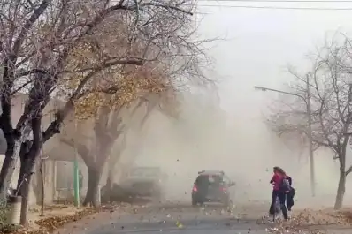 Alerta amarilla por vientos de hasta 90 km/h y lluvias intensas en el sur del país