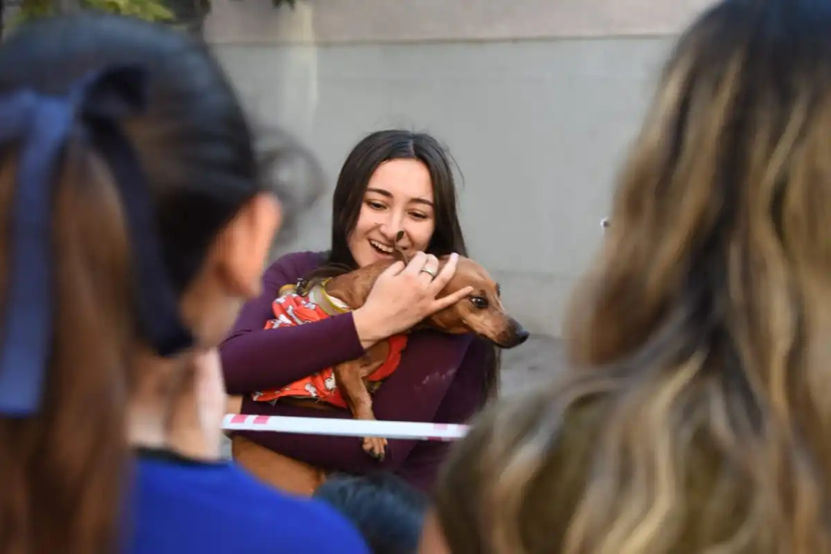 LA FELICIDAD DEL REENCUENTRO CON SU MASCOTA