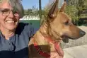 Una tucumana creó la primera base de datos de animales perdidos y en adopción de la provincia