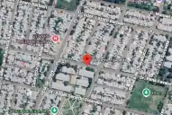 Aparecieron serpientes en San Miguel de Tucuman: cuáles son las zonas afectadas