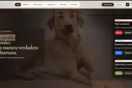 Una tucumana creó la primera base de datos de animales perdidos y en adopción de la provincia
