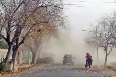 Alerta amarilla por vientos en el centro del país: a qué hora se espera el pico de intensidad este 29 de abril