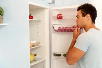 Cuál es la temperatura ideal de la heladera para evitar que suba la luz en casa