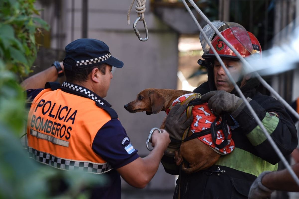 El momento en el que el perro termina de ser rescatado