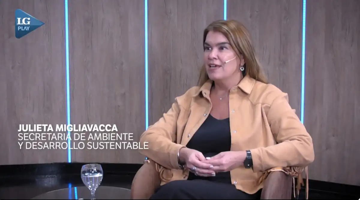 “El problema no es solo el mosquito”: las fallas urbanas que explican el avance del chikungunya en Tucumán