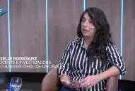 Dengue y chikungunya, potenciados por el desorden urbano en Tucumán