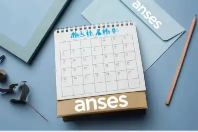 Anses modificará el calendario de pagos por el feriado del 25 de Mayo: qué prestaciones tendrán cambios