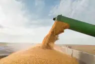 Se viene el Congreso de Ecofisiologia y Manejo Agronómico en Granos