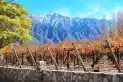 Acequias, bodegas, degustaciones y paisajes: el pueblo turístico de un ex presidente