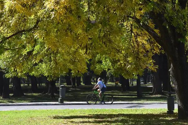El tiempo en Tucumán: se espera un domingo soleado y antes del inicio de una semana cálida