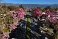 Proponen la creación de una “Gran Yerba Buena” para coordinar el crecimiento urbano de Tucumán
