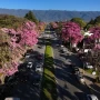 Proponen la creación de una “Gran Yerba Buena” para coordinar el crecimiento urbano de Tucumán