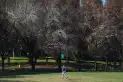 El tiempo en Tucumán: el cielo se poblará de nubes y la temperatura volverá a subir