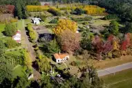 Un millón de árboles y solo 250 habitantes: el asombroso pueblo argentino donde la naturaleza es mayoría