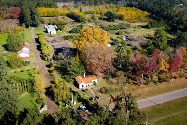 Un millón de árboles y solo 250 habitantes: el asombroso pueblo argentino donde la naturaleza es mayoría
