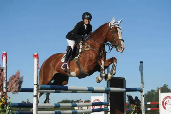 El semillero, protagonista en el concurso de hipismo de La Foresta