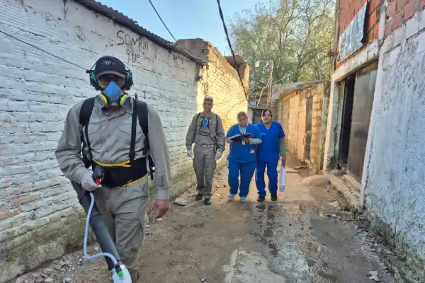 Chikungunya en Tucumán: cuáles son las claves para combatir la enfermedad y cortar la transmisión del virus