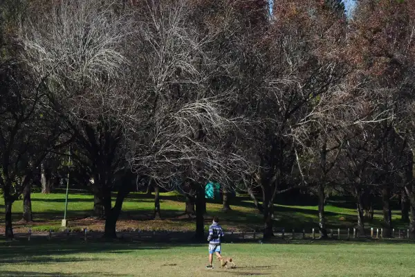 El tiempo en Tucumán: el cielo se poblará de nubes y la temperatura volverá a subir