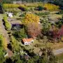 Un millón de árboles y solo 250 habitantes: el asombroso pueblo argentino donde la naturaleza es mayoría