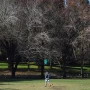 El tiempo en Tucumán: el cielo se poblará de nubes y la temperatura volverá a subir