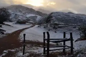El mundo en los extremos: mientras Europa se asfixia a 42°, Argentina espera el pico de la ola polar