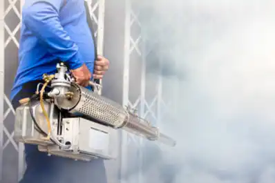 Chikungunya: realizaron un operativo en Villa Urquiza ante un caso sospechoso