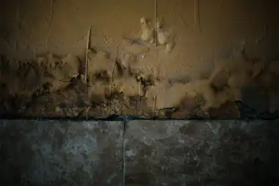 Cicatrices: las marcas que dejan las inundaciones en las casas de La Madrid