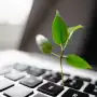Becas tech en mayo: tres cursos gratis para formarte en programación y habilidades digitales