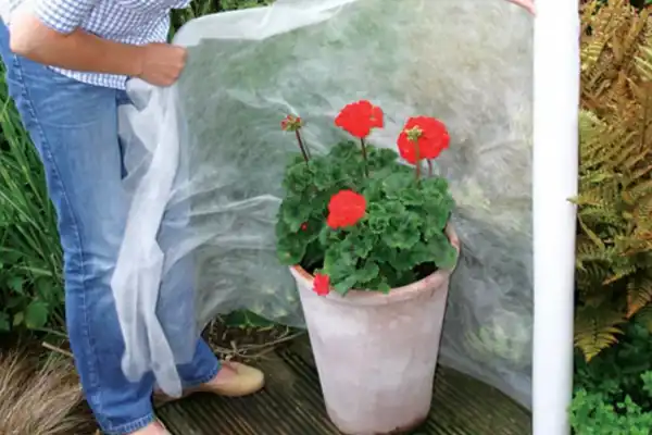 8 maneras de proteger tus plantas de las heladas y el frío