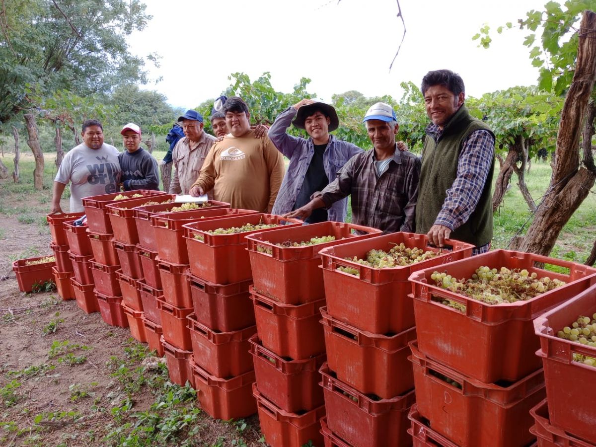 TRABAJO. La familia Pastrana se dedica a hacer buenos vinos.  