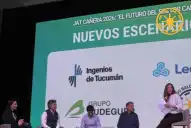 El futuro de la agroindustria cañera depende de un sistema integral más que de un factor aislado