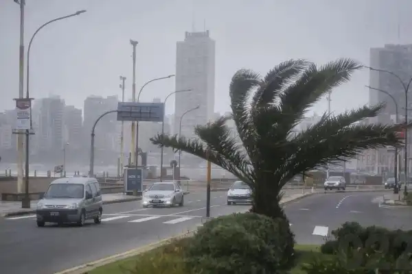 Alerta meteorológica del 9 de mayo: habrá vientos de hasta 80 kilómetros por hora