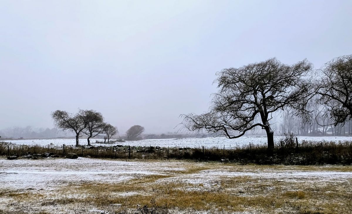 TAFÍ DEL VALLE. La nieve llegó este sábado, tal como lo anunciaba el pronóstico.
