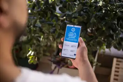 Anses alertó por nuevas estafas virtuales: cuáles son las modalidades más comunes y cómo evitarlas