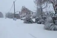 Alerta amarilla por nevadas y vientos en el país: cuáles son las provincias afectadas este lunes