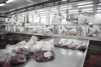 La exportación de carne bovina creció 53,95% en valor en el primer trimestre de 2026