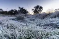Alerta amarilla por frío extremo, vientos de hasta 80 km/h y nevadas: advierten por fenómenos riesgosos para la salud en el país