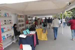 Mayo y el Mayito de las Letras: actividades para “cosechar lectores y plantar memoria”