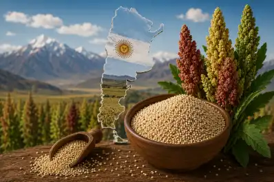 Misión Quinoa: científicos buscan llevar este cultivo al espacio y una tucumana lidera el proyecto