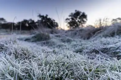 Alerta amarilla por frío extremo, vientos de hasta 90 km/h y nevadas: advierten por fenómenos riesgosos para la salud en el país