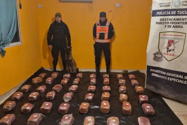 El tráfico de droga por encomiendas se afianza en Tucumán