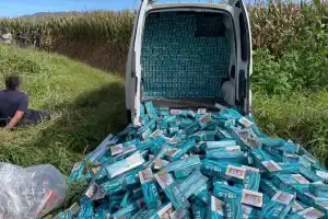 Desbaratan una red de contrabando entre Salta y Tucumán: siete detenidos y un secuestro millonario