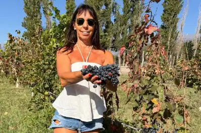 Cómo no va a haber vino en Tucumán, si tenemos 18 bodegas”: la nueva presidenta del sector quiere terminar con un mito