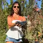 Cómo no va a haber vino en Tucumán, si tenemos 18 bodegas”: la nueva presidenta del sector quiere terminar con un mito