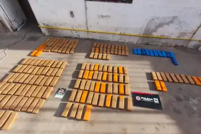 Investigaban robo de ganado, allanaron una carnicería y encontraron más de 100 kilos de marihuana