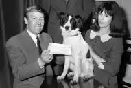 La increíble historia de Pickles, el perro que encontró la Copa del Mundo robada en 1966