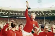 La increíble historia de Pickles, el perro que encontró la Copa del Mundo robada en 1966